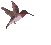 oiseau2
